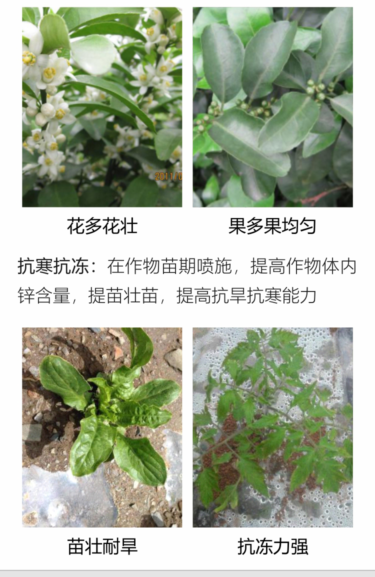 微補(bǔ)螯合鋅750_08.jpg