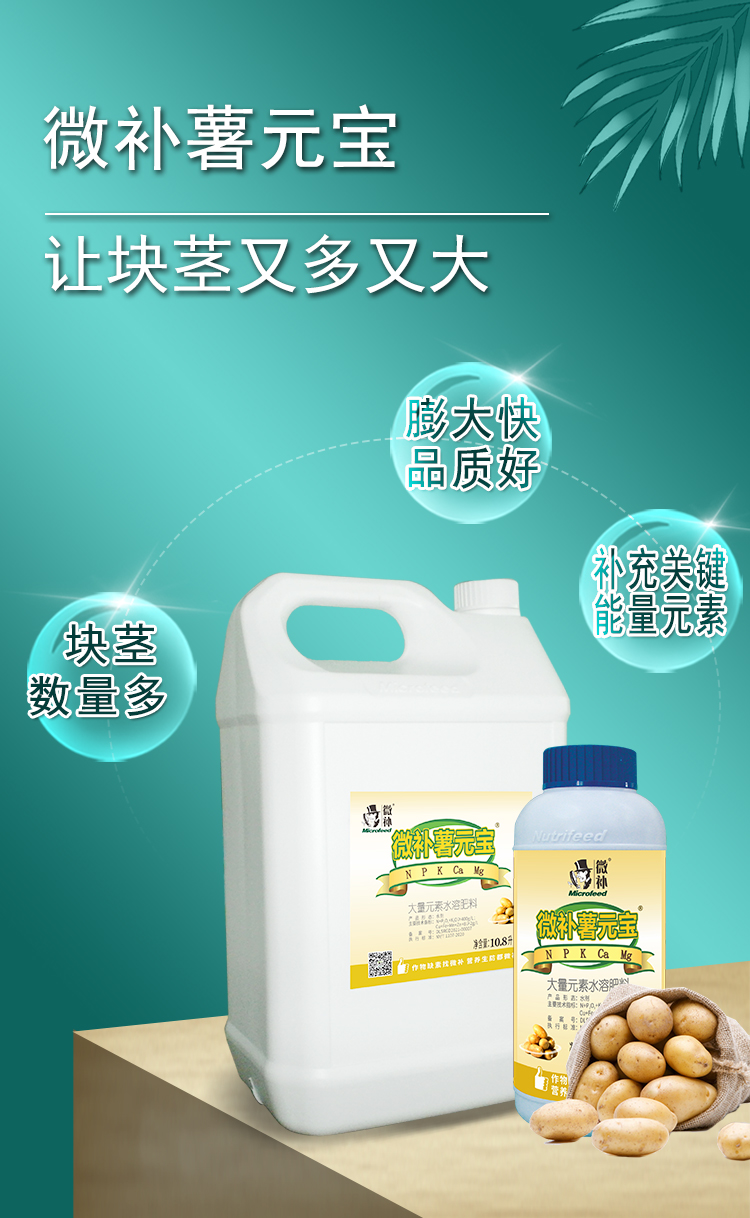 微補薯元寶_01.jpg
