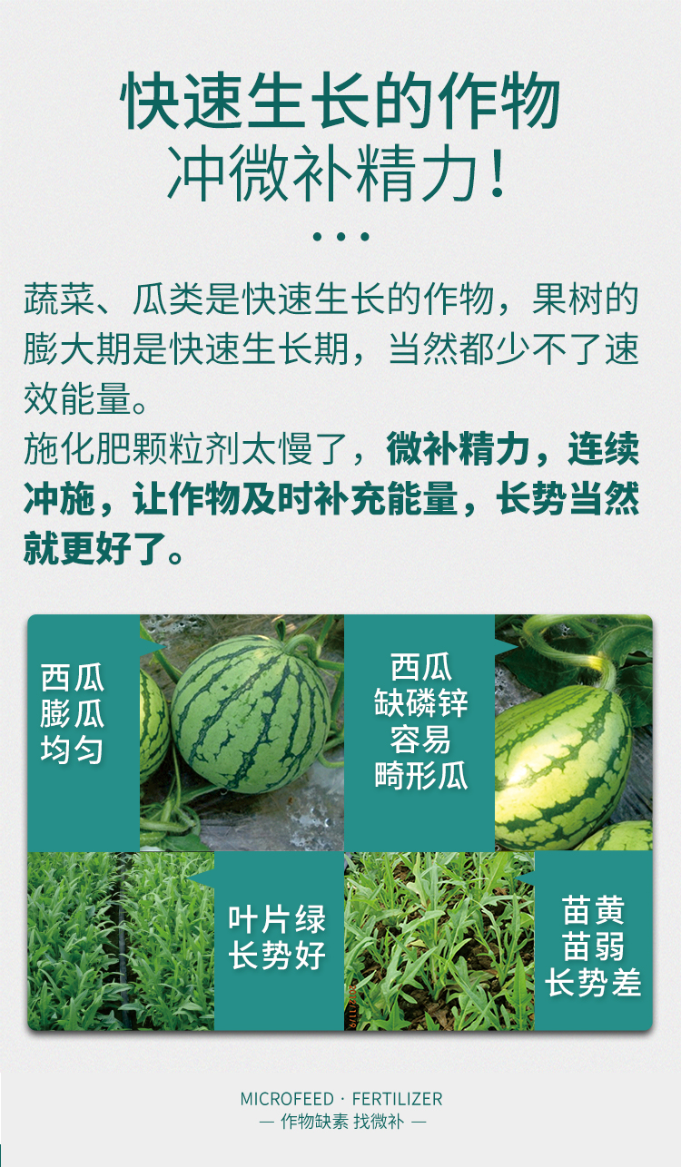 微補精力_07.jpg