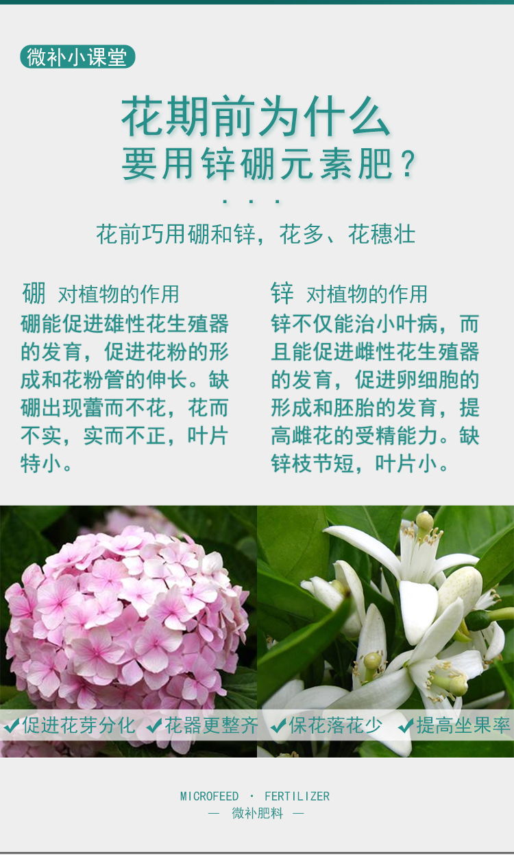 微補花力_03.jpg