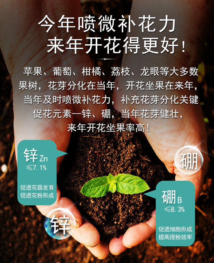 微補花力_06.jpg