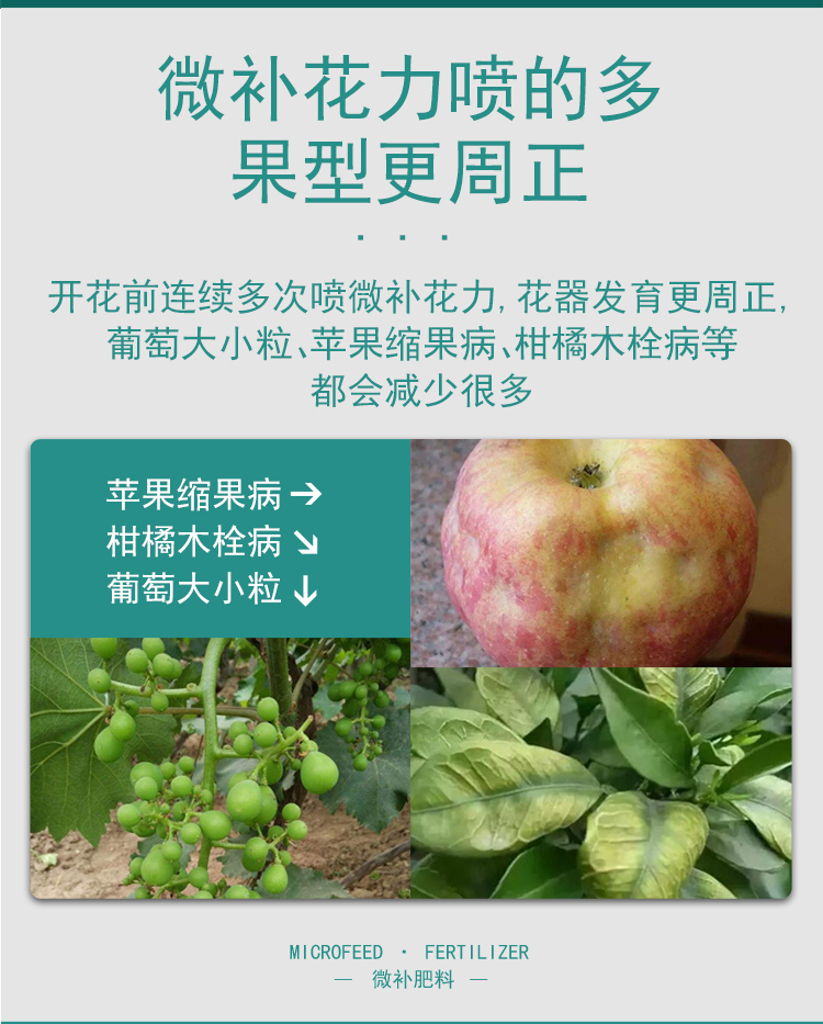 微補花力_09.jpg