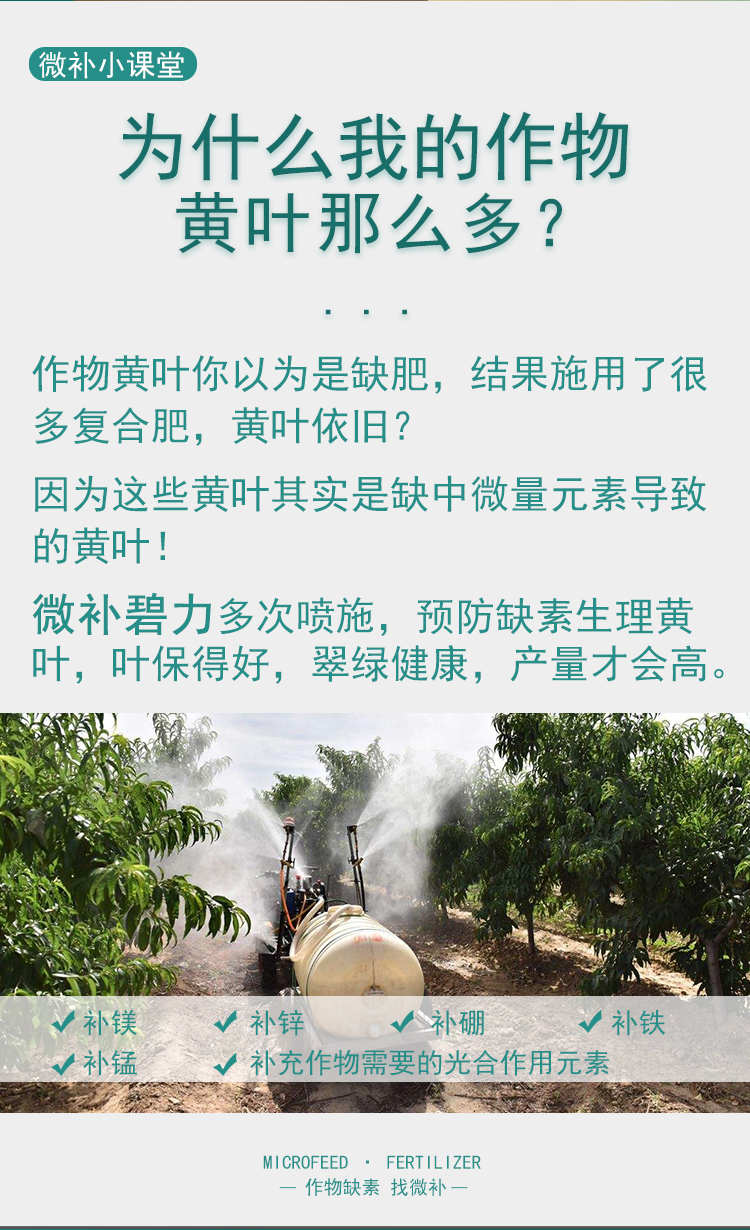 微補(bǔ)碧力_02.jpg