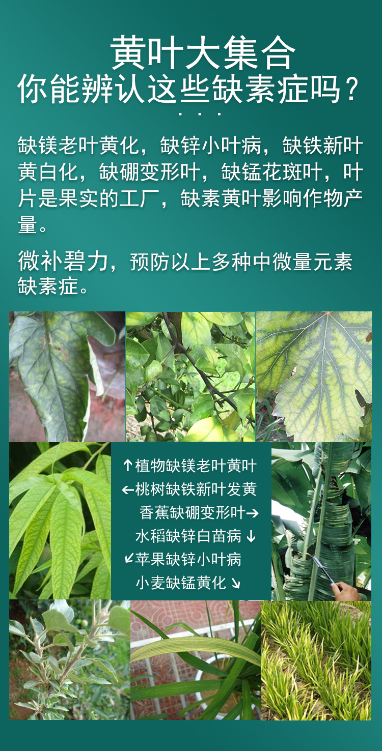 微補(bǔ)碧力_03.jpg
