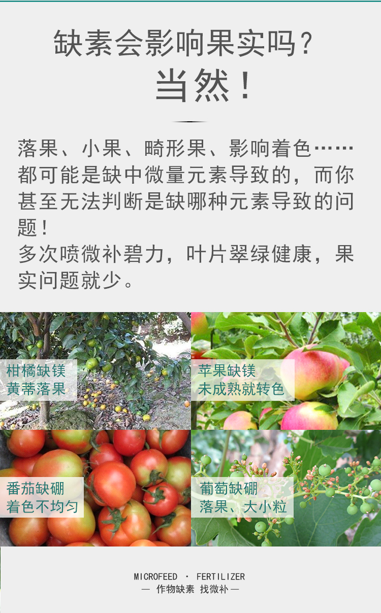 微補(bǔ)碧力_05.jpg