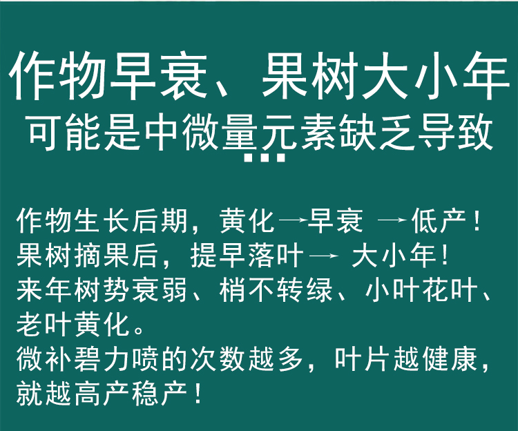 微補(bǔ)碧力_06.jpg