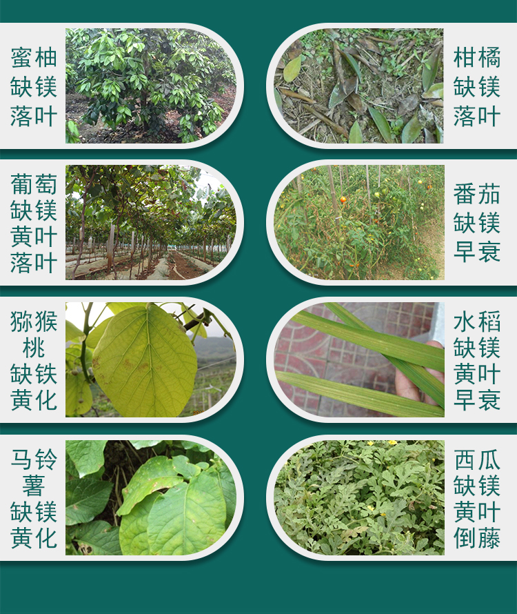 微補(bǔ)碧力_07.jpg