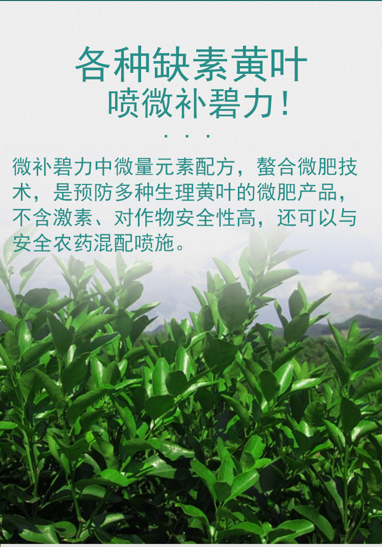 微補(bǔ)碧力_08.jpg