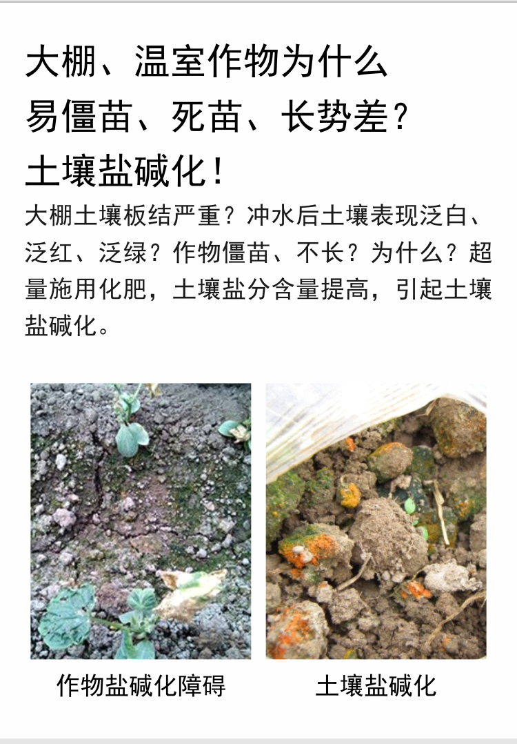 因迪樂有機(jī)鹽堿土調(diào)理水溶肥_03.jpg