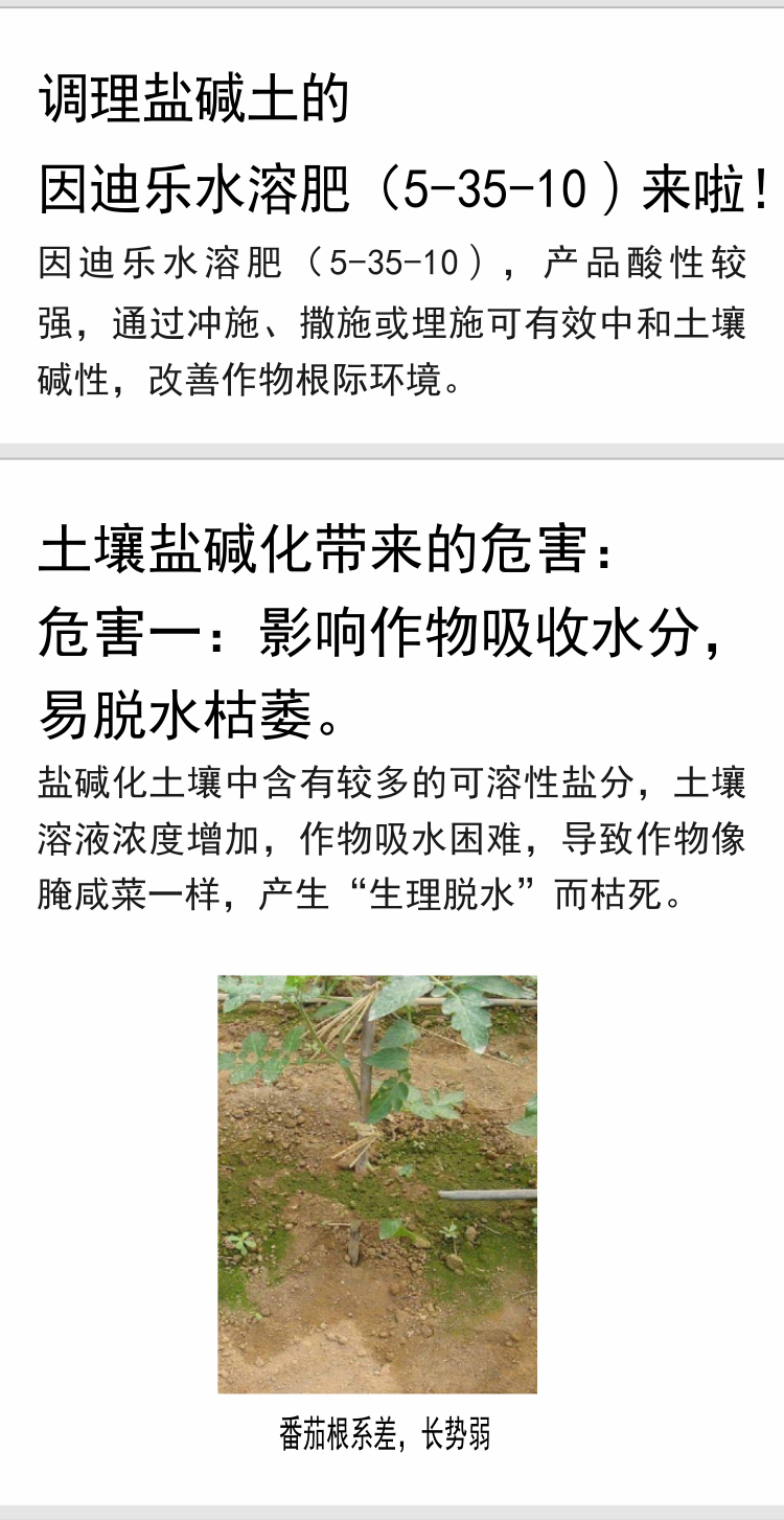 因迪樂有機(jī)鹽堿土調(diào)理水溶肥_04.jpg