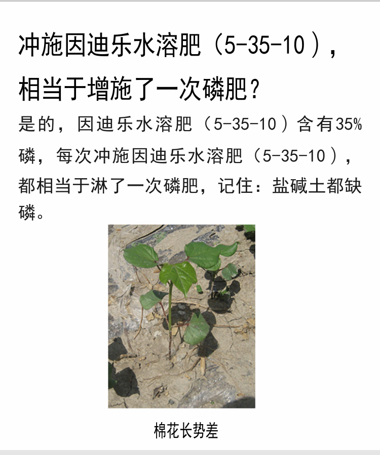 因迪樂有機(jī)鹽堿土調(diào)理水溶肥_07.jpg