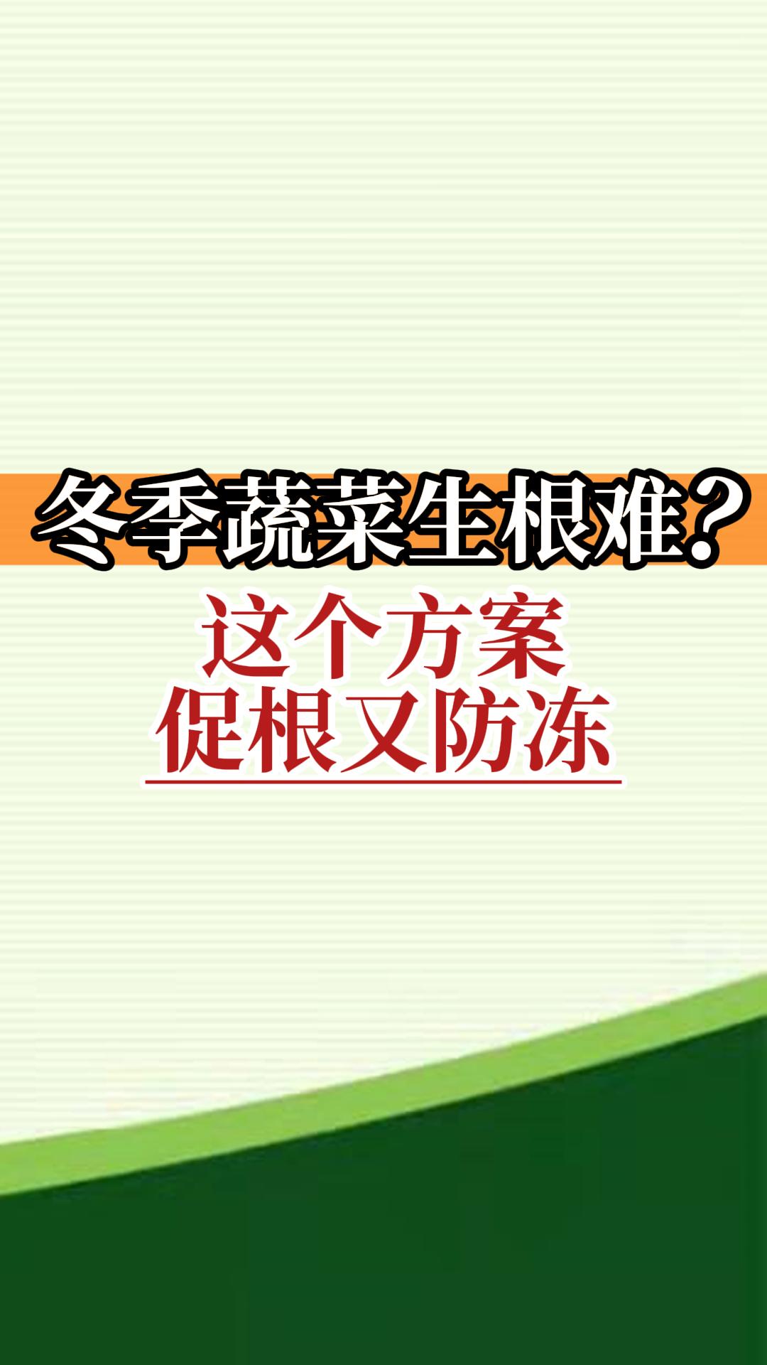 冬季蔬菜生根難？這個(gè)方案促根又防凍