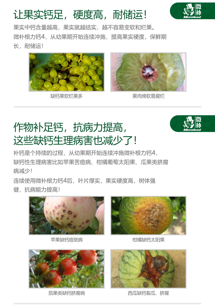 微補(bǔ)根力鈣4