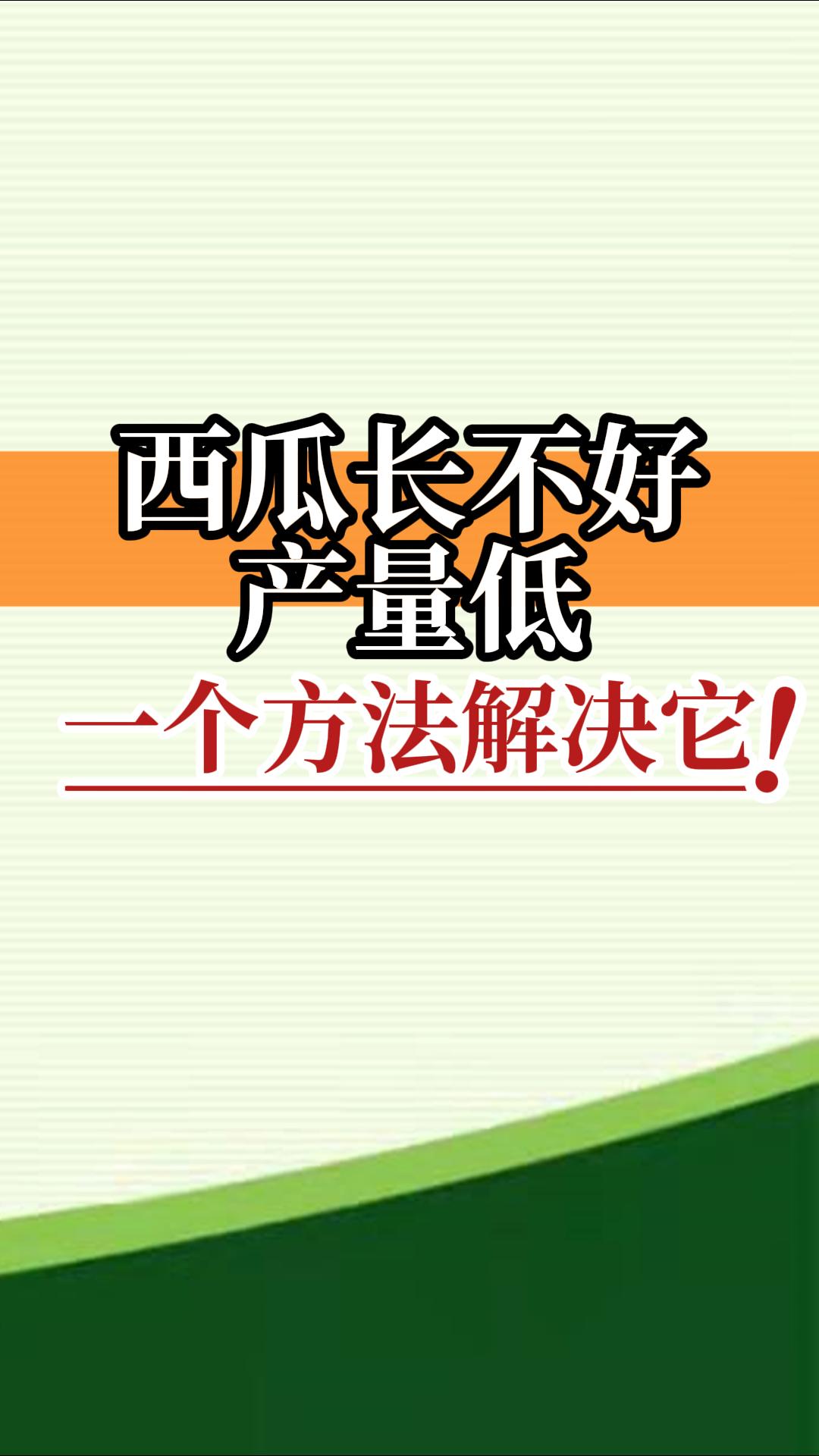 西瓜長不好產量低？