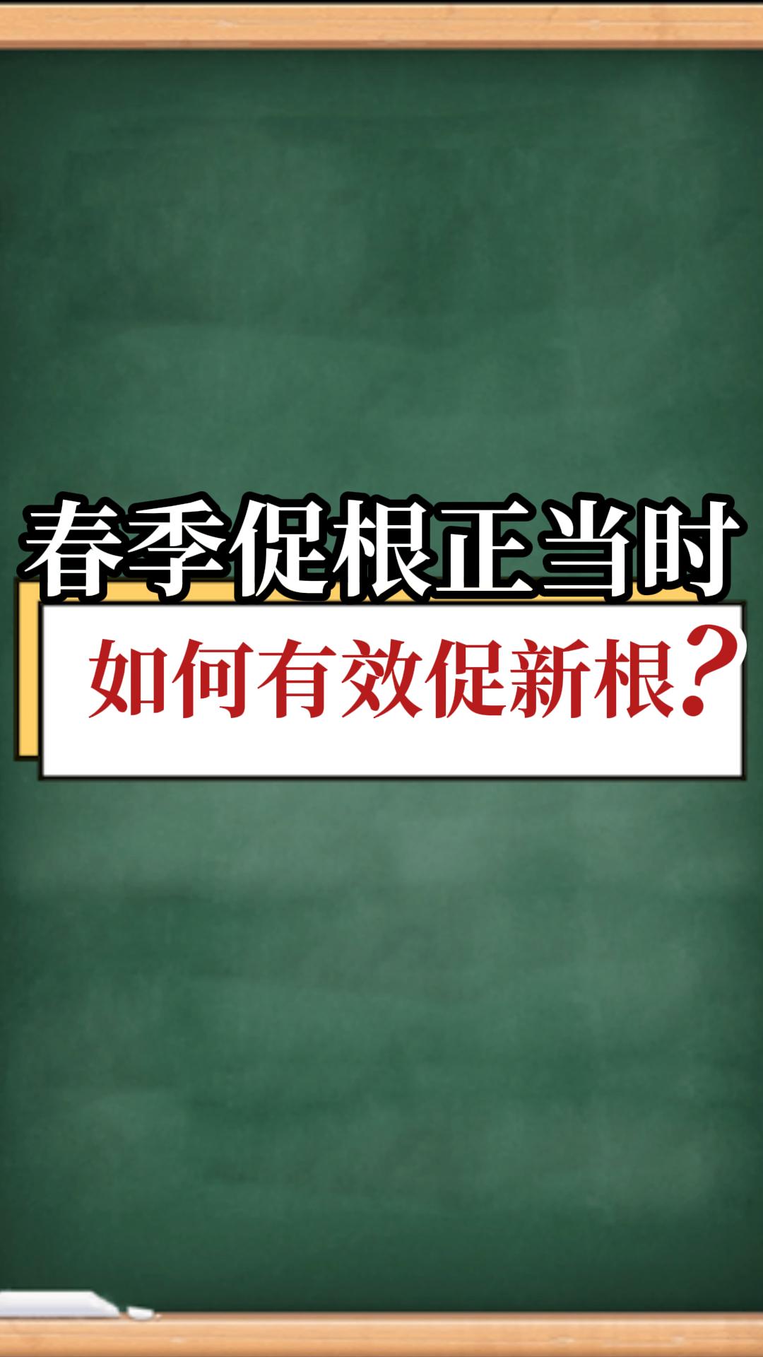 如何有效促新根？