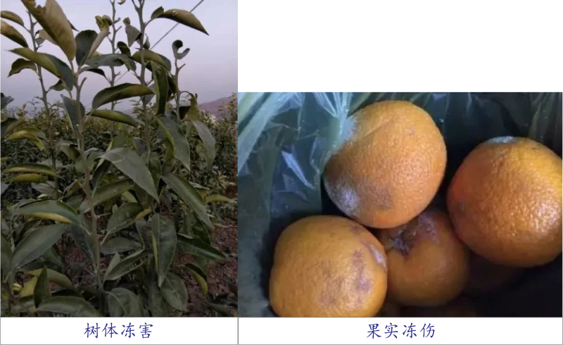 圖片1