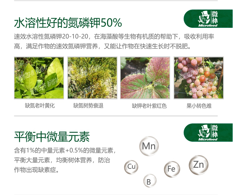 微補(bǔ)海藻全力