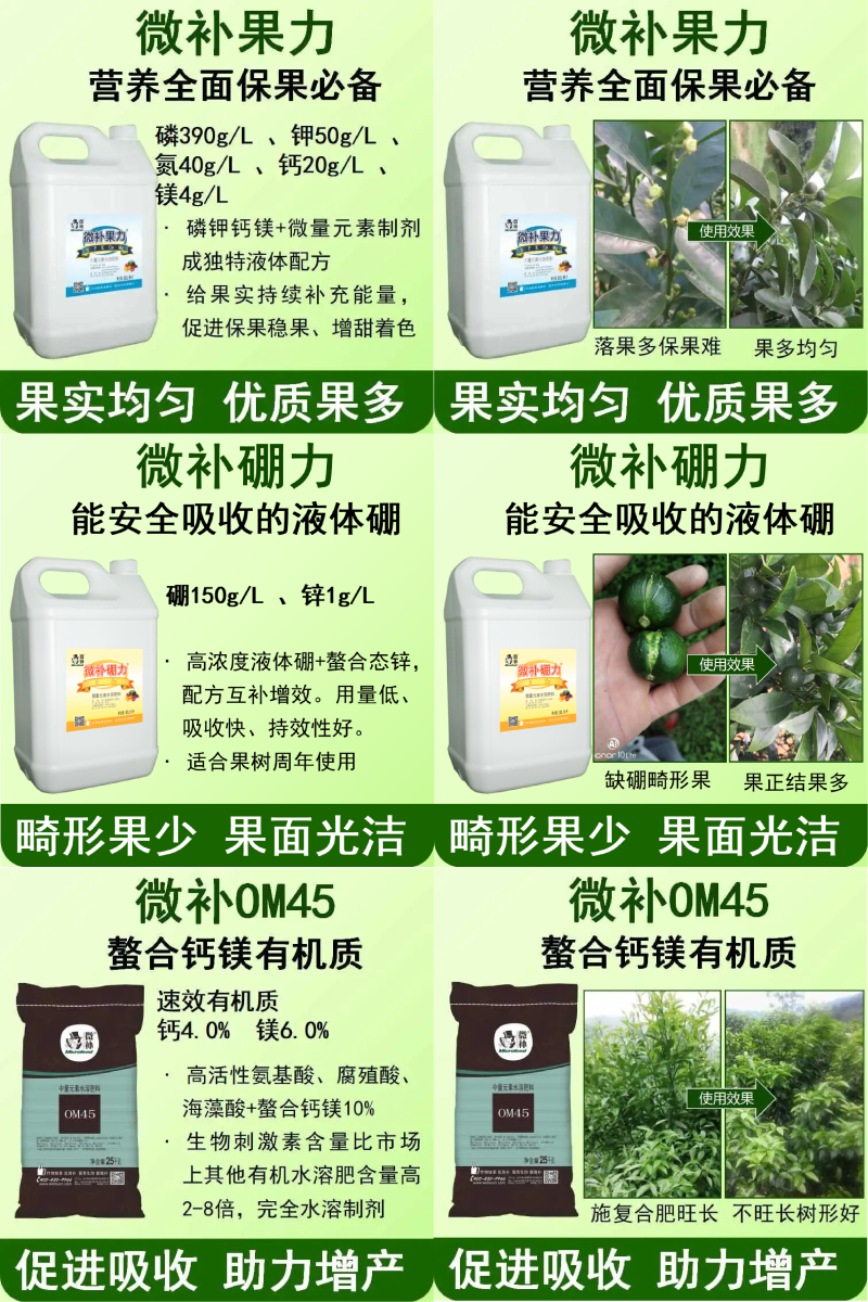 圖片1