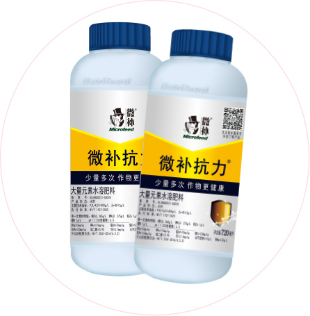 如何做好冬季清園，減少來年病蟲害影響