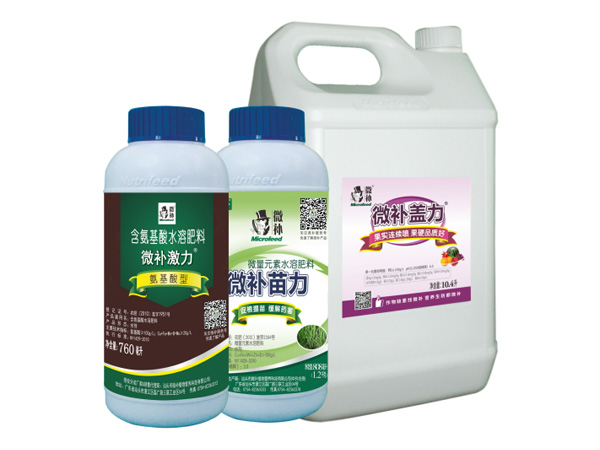 讓作物安全過冬的實用小妙招，速看