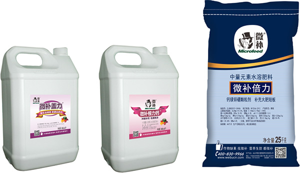 讓作物安全過冬的實用小妙招，速看