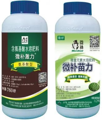 讓作物安全過冬的實用小妙招，速看