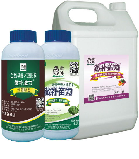 讓作物安全過冬的實用小妙招，速看