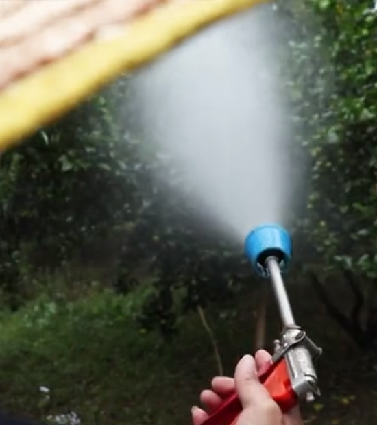 如何做好冬季清園，減少來年病蟲害影響