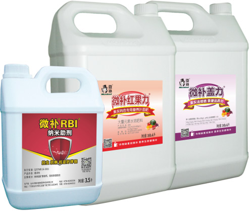 一月份柑橘管理