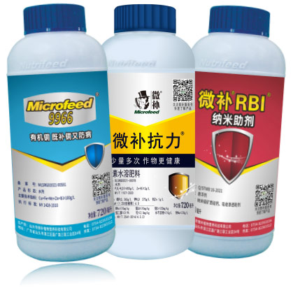 一月份柑橘管理