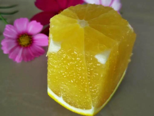 震驚！施秋肥還會(huì)影響果實(shí)賣價(jià)？