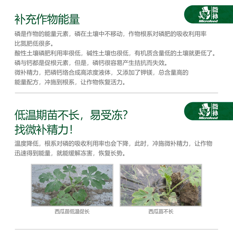 微補(bǔ)精力