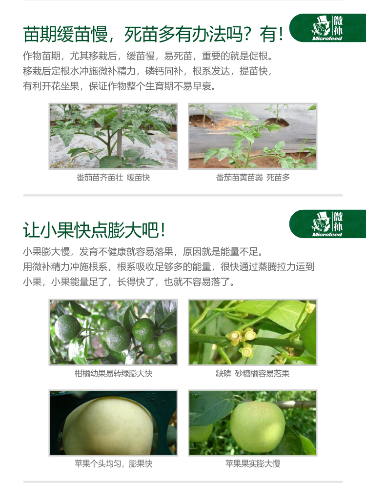 微補(bǔ)精力