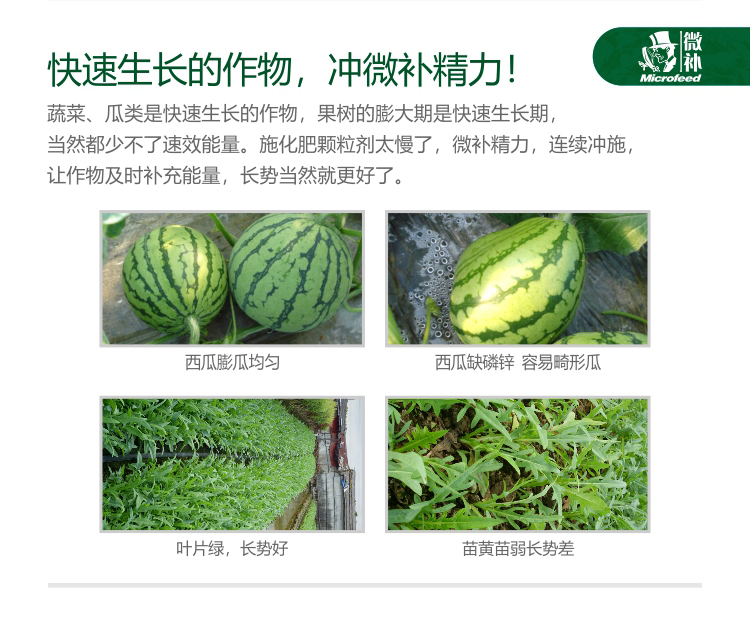 微補(bǔ)精力