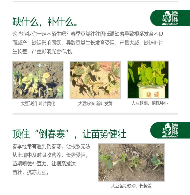 微補豆力