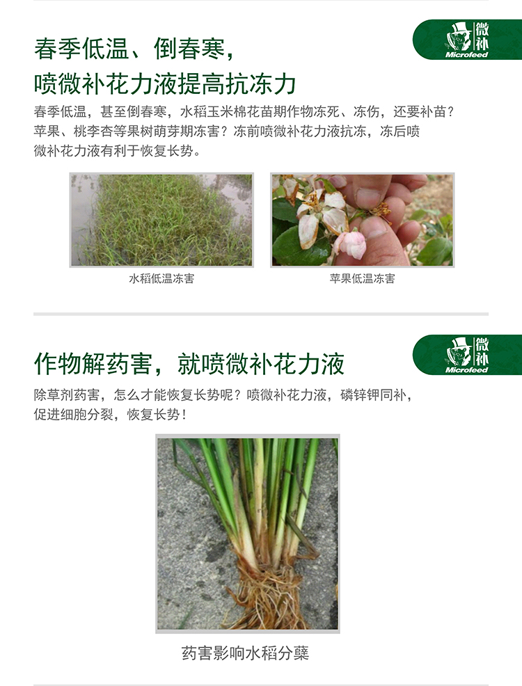 微補(bǔ)花力液