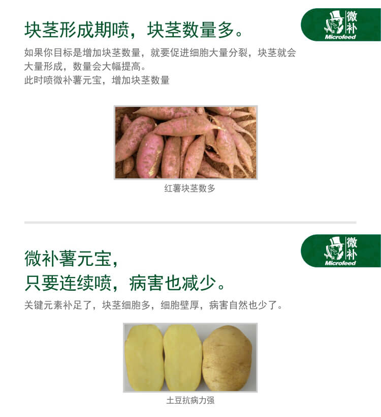 微補(bǔ)薯元寶