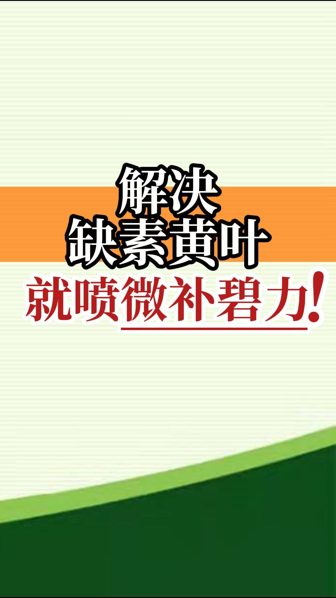 解決缺素黃葉就噴微補碧力！