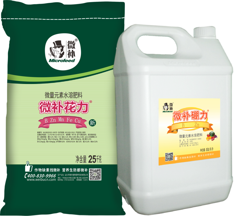 圖片2