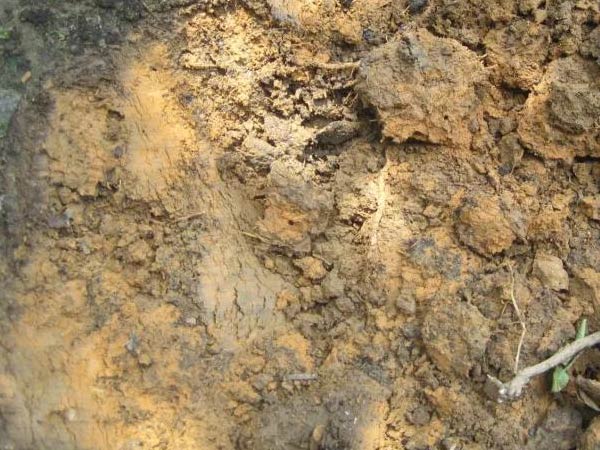 微補(bǔ)三級(jí)火箭方案有如此神奇功效？