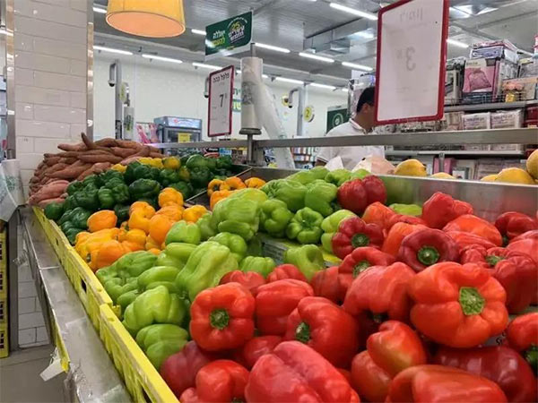 深度思考：我們到底應(yīng)該向以色列農(nóng)業(yè)學(xué)習(xí)什么？