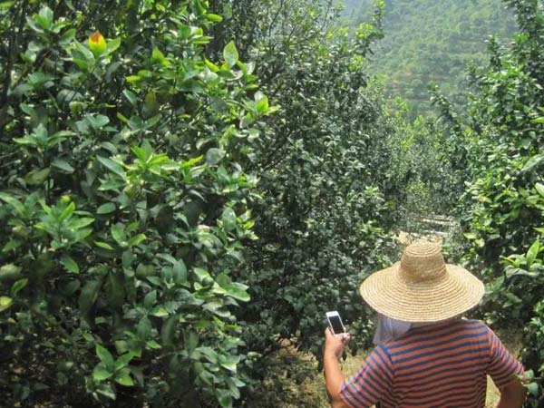 微補(bǔ)三級(jí)火箭方案有如此神奇功效？