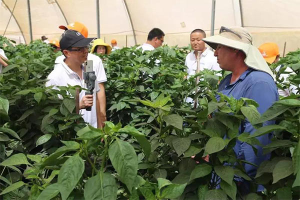 深度思考：我們到底應(yīng)該向以色列農(nóng)業(yè)學(xué)習(xí)什么？