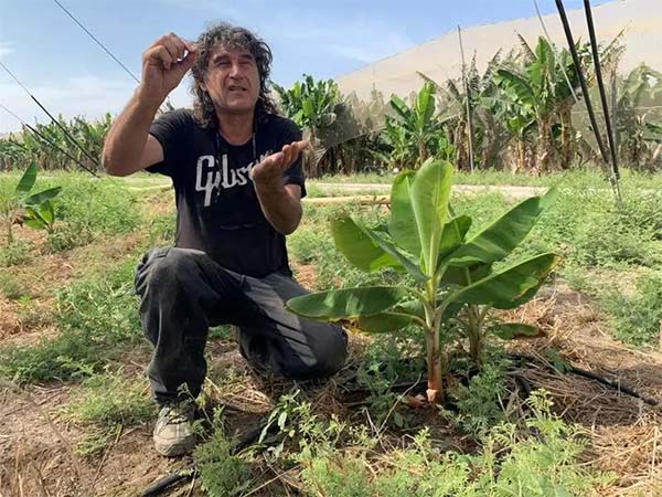 深度思考：我們到底應(yīng)該向以色列農(nóng)業(yè)學(xué)習(xí)什么？